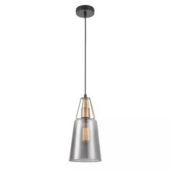 Подвесной светильник Vele Luce Roberto VL5552P21