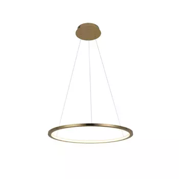 Подвесной светодиодный светильник Loft IT Ring 10014M