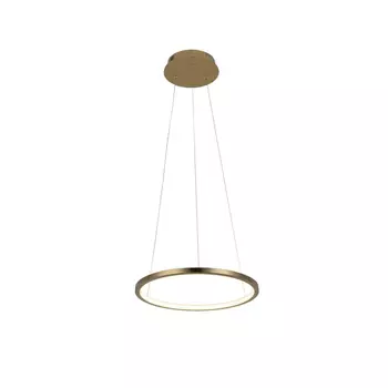 Подвесной светодиодный светильник Loft IT Ring 10014S