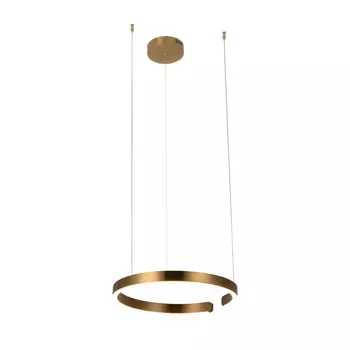 Подвесной светодиодный светильник Loft IT Ring 10013M
