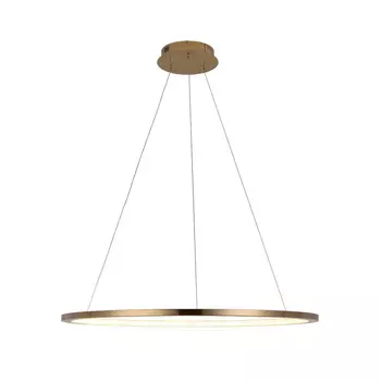 Подвесной светодиодный светильник Loft IT Ring 10014L