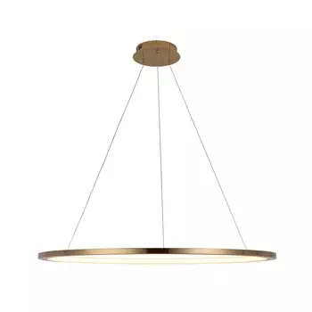 Подвесной светодиодный светильник Loft IT Ring 10014XL