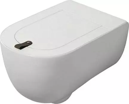 Подвесной унитаз ArtCeram The One THV001 01 00 bi