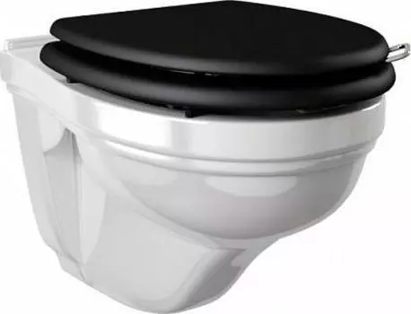 Подвесной унитаз Devon&Devon Blues IBWCSBLUES