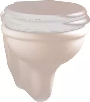 Подвесной унитаз Devon&Devon Etoile IBWCSET