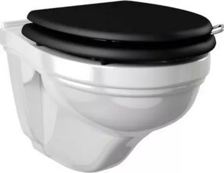 Подвесной унитаз Devon&Devon Rose IBWCSRO