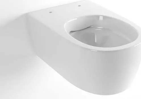 Подвесной унитаз Excellent Doto Pure Rim 54 CEEX.1404.545.WH