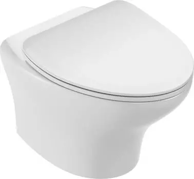 Подвесной унитаз Jacob Delafon Nouvelle Vague EDK102-00