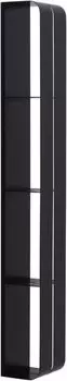 Полка Aquanet Магнум 00302226 15x100 черная матовая, вертикальная