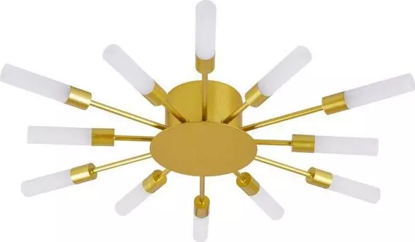 Потолочная люстра Arte Lamp Maple A1276PL-12GO