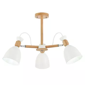 Потолочная люстра Evoluce Balcamo SLE103802-03