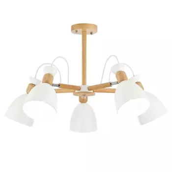 Потолочная люстра Evoluce Balcamo SLE103802-05