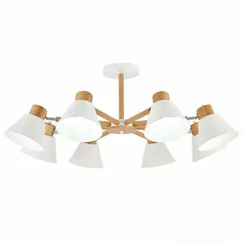 Потолочная люстра Evoluce Buve SLE103702-08