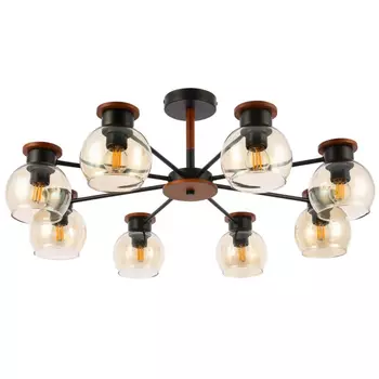 Потолочная люстра Evoluce Rasco SLE108102-08