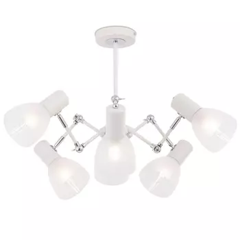 Потолочная люстра Freya Avery FR5080PL-06W