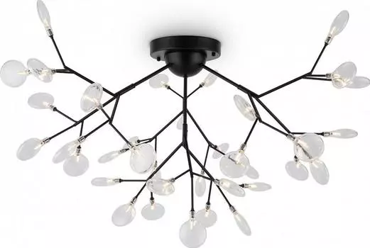 Потолочная люстра Freya Florencia FR5049CL-36B