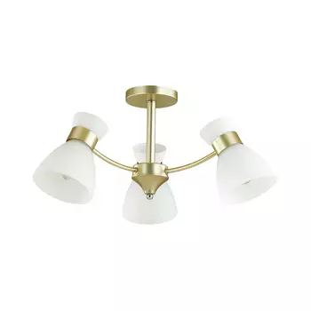 Потолочная люстра Lumion Comfi Wilma 4535/3C