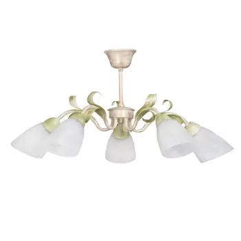 Потолочная люстра Vitaluce V1535/5PL