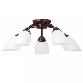 Потолочная люстра Vitaluce V3252/5PL