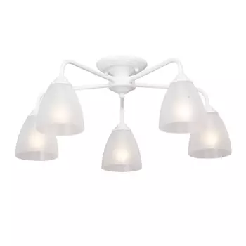 Потолочная люстра Vitaluce V3946-0/5PL