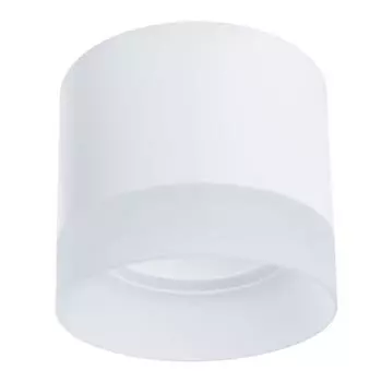 Потолочный светильник Arte Lamp Castor A5554PL-1WH