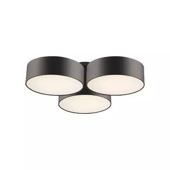 Потолочный светильник Favourite Cerchi 1514-6C