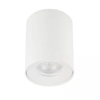 Потолочный светильник ЭРА OL1 GU10 WH Б0041503