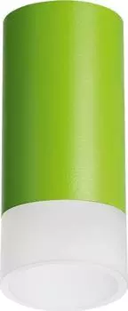 Потолочный светильник Lightstar Rullo (214434+202431) R43431