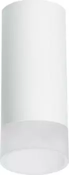 Потолочный светильник Lightstar Rullo (216486+202481) R648681