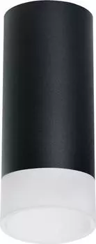 Потолочный светильник Lightstar Rullo (216487+202481) R648781
