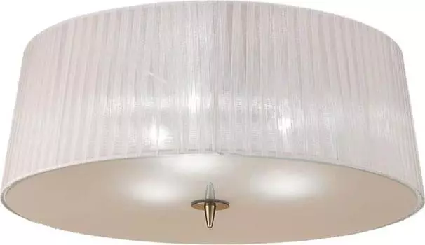 Потолочный светильник Mantra Loewe 4740