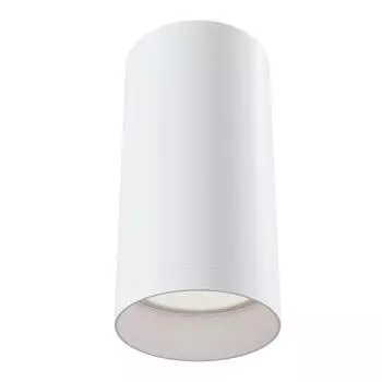 Потолочный светильник Maytoni Alfa C010CL-01W