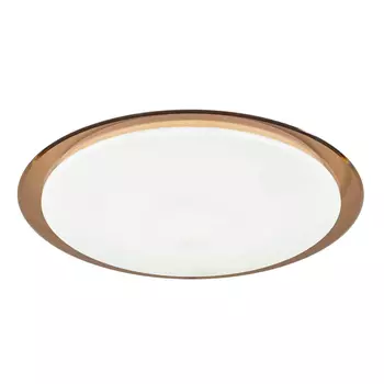 Потолочный светодиодный светильник ЭРА SPB-6-70-RC Saturn (B) Б0036368