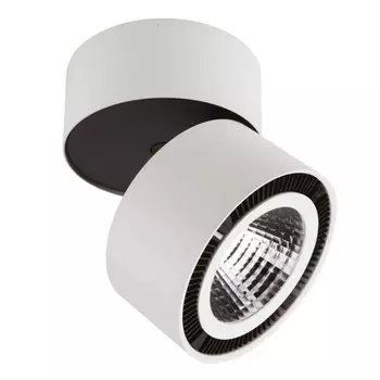 Потолочный светодиодный светильник Lightstar Forte Muro 214830