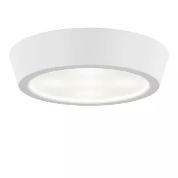 Потолочный светодиодный светильник Lightstar Urbano 214902