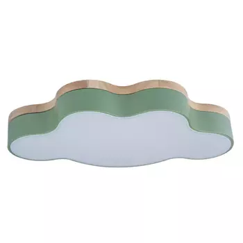 Потолочный светодиодный светильник Loft IT Axel 10005/30 green