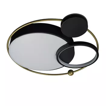 Потолочный светодиодный светильник Loft IT Mike 10064