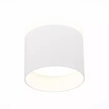 Потолочный светодиодный светильник ST Luce Panaggio ST102.542.12