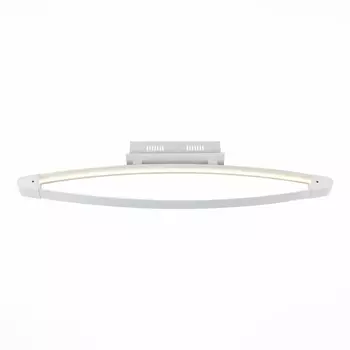 Потолочный светодиодный светильник ST Luce SL920.102.01