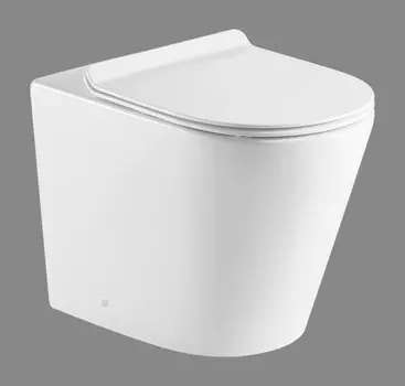 Приставной унитаз BelBagno Flay-R BB1003CBR