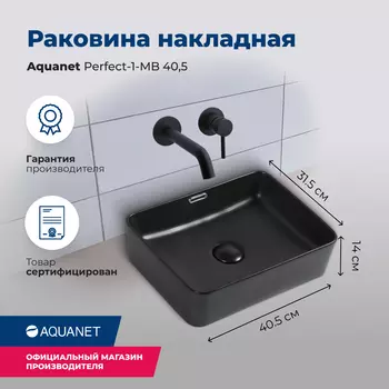 Раковина Aquanet Perfect PERFECT-1-MB черный