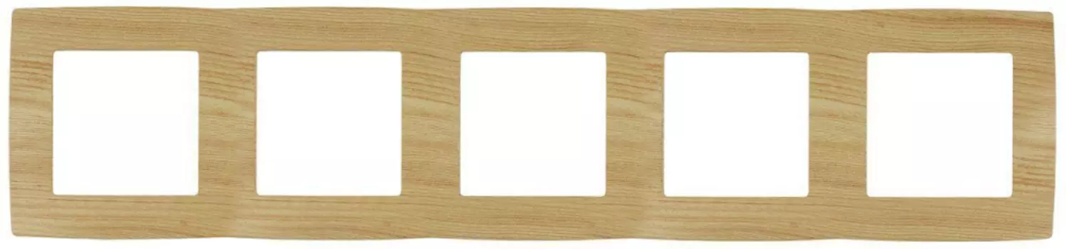 Рамка 5-постовая ЭРА 12 12-5005-11 Б0019150