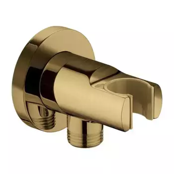 Шланговое подключение Omnires Y 8873GLB золото