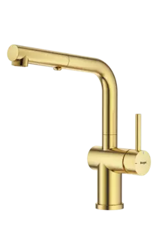 Смеситель для кухни Raglo R86.49.03 золото