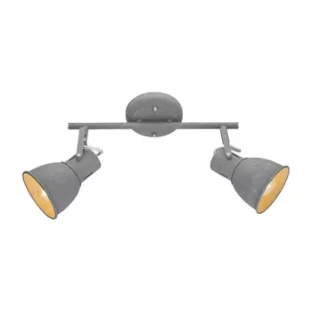 Спот Arte Lamp A1677PL-2GY