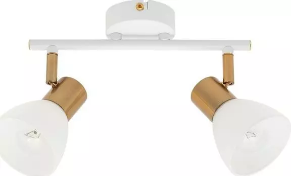 Спот Arte Lamp Falena A3117PL-2WH