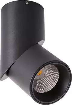 Светодиодный спот Arte Lamp Orione A7717PL-1BK