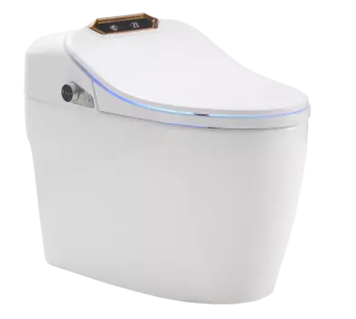 Унитаз-биде Timo TE-731 белый