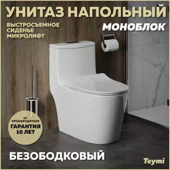Унитаз-моноблок Teymi Solli T41101 белый глянец