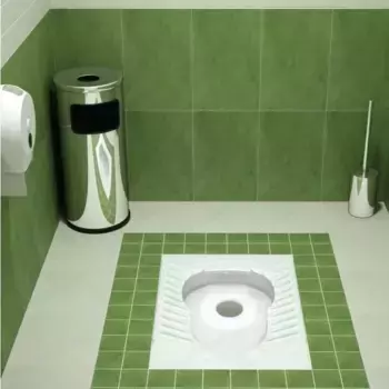 Унитаз Оскольская керамика Чаша Генуя (43301100302)